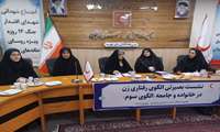 نشست بصیرتی، الگوی رفتاری زن در خانواده و جامعه( الگوی سوم زن مسلمان ایرانی)