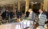 برپایی نمایشگاه‌های محصولات ایران ماهر در سطح استان زنجان در راستای اجرای طرح ملی «کارافن» با رویکرد «از مهارت تا بازار»